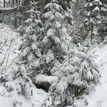 Ferienwohnung Schwarz דירה *