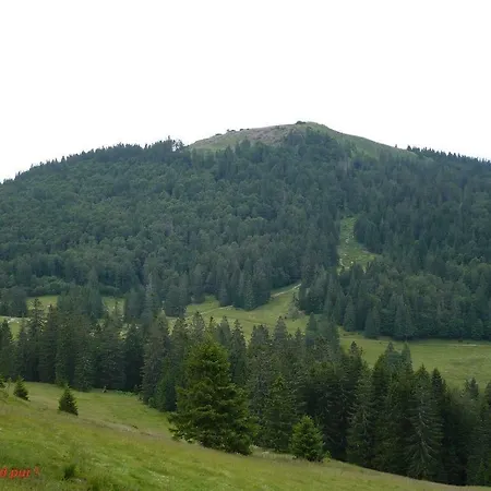 Ferienwohnung Schwarz