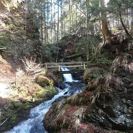 Ferienwohnung Schwarz דירה טודמוס