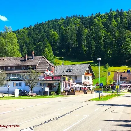 Ferienwohnung Schwarz דירה טודמוס