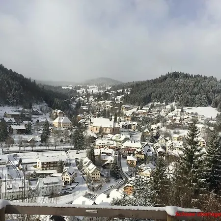 דירה Ferienwohnung Schwarz