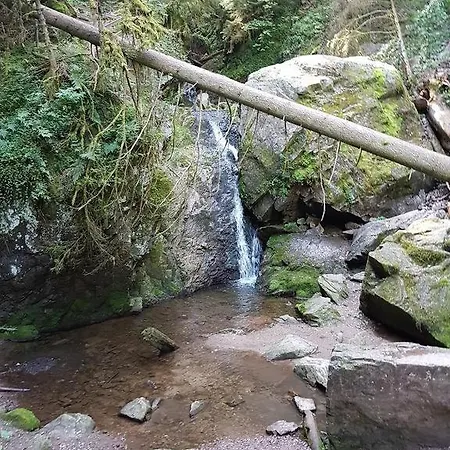 דירה Ferienwohnung Schwarz