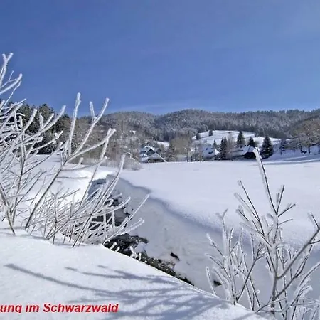 Ferienwohnung Schwarz *